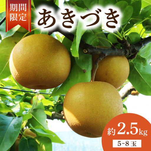 齋藤園 梨「あきづき」約2.5kg(5〜8玉入)2026年9月中旬〜 | 梨