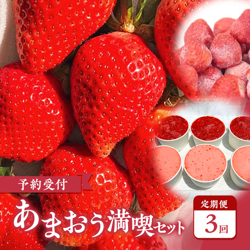 【2027年3月上旬より発送開始】【予約受付・3回定期便】あまおう満喫セット ※配送不可：北海道・沖縄県・離島