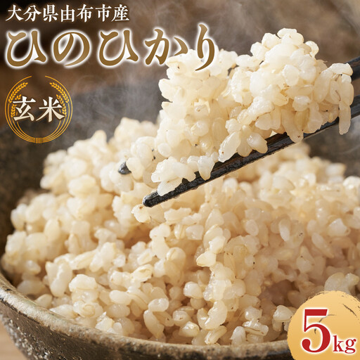 ＼先行予約／【令和7年度産】大分県由布市産 ひのひかり（玄米）5kg