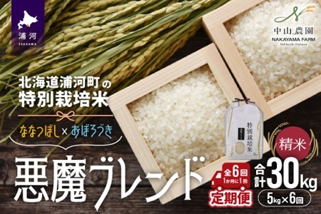 北海道浦河町の特別栽培米「悪魔ブレンド」精米(5kg×1袋)定期便(全6回)[37-1497]