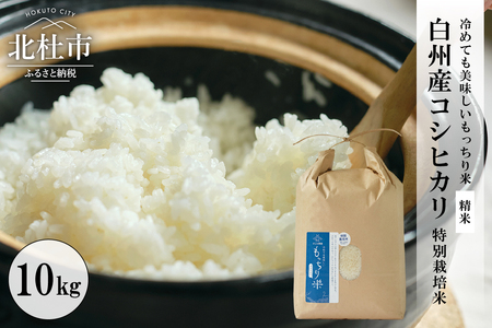 【先行予約】【令和8年度新米】白州産コシヒカリ 特別栽培米 10kg [h059]