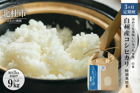 【3ヶ月定期便】白州産コシヒカリ 特別栽培米 3kg [h059]