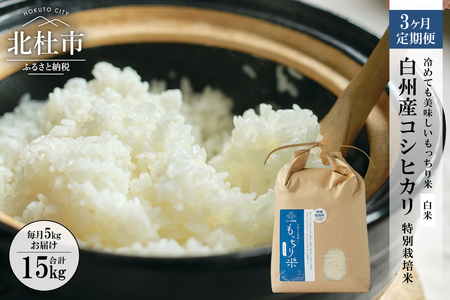 【3ヶ月定期便】白州産コシヒカリ 特別栽培米 5kg [h059]