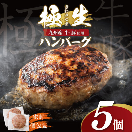  極生ハンバーグ 5個セット(150g×5) ハンバーグ