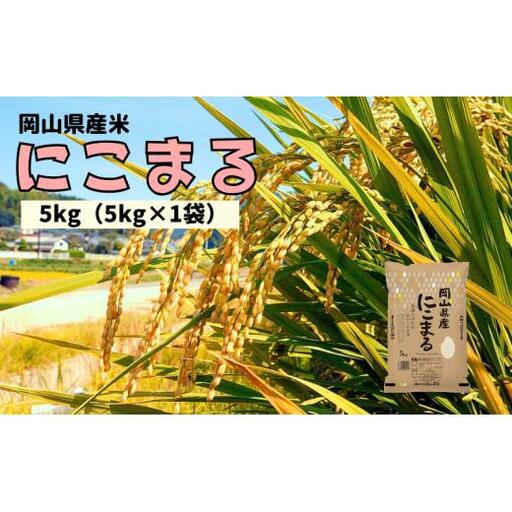 【令和7年産】岡山県産米 にこまる 5kg 5kg×1袋 【先行予約 2025年11月上旬から順次発送】