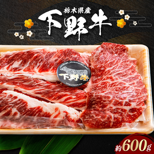 栃木県産 厳選下野牛！肉スジ 約600g 国産 ブランド牛 牛肉 肉 牛筋 牛スジ 牛すじ カレー 煮込み 調理 食品 冷凍 贈答 贈り物 ギフト プレゼント 自宅 家庭 栃木県 足利市 F7Z-1600