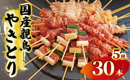 焼鳥 焼き鳥 30本 5種セット 親鳥