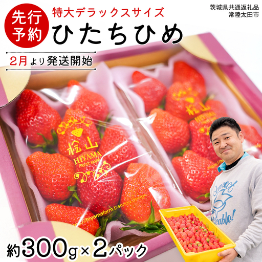 [ 先行予約 ] ひたち姫 ( 2パック ) 特大 デラックス サイズ [ 2027年2月から発送開始 ] (常陸太田市 共通返礼品 )