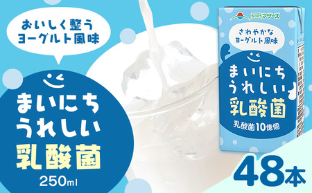 常温保存可能 まいにちうれしい 乳酸菌 ヨーグルト風味 250ml×48本 合同会社たべたせいか《30日以内に出荷予定(土日祝除く)》熊本県 菊池市 紙パック ヨーグルト飲料 乳酸菌 ドリンク 飲み物 飲料 常温保存 国産 熊本県産