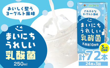 常温保存可能[1ヶ月毎3回定期便]まいにちうれしい 乳酸菌 ヨーグルト風味 250ml×24本 計72本 合同会社たべたせいか[お申し込みの翌月から出荷]熊本県 菊池市 紙パック ヨーグルト飲料 乳酸菌 ドリンク 飲み物 飲料 常温保存 国産 熊本県産
