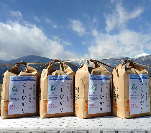 産直センター　特別栽培米コシヒカリ「８㎏」　