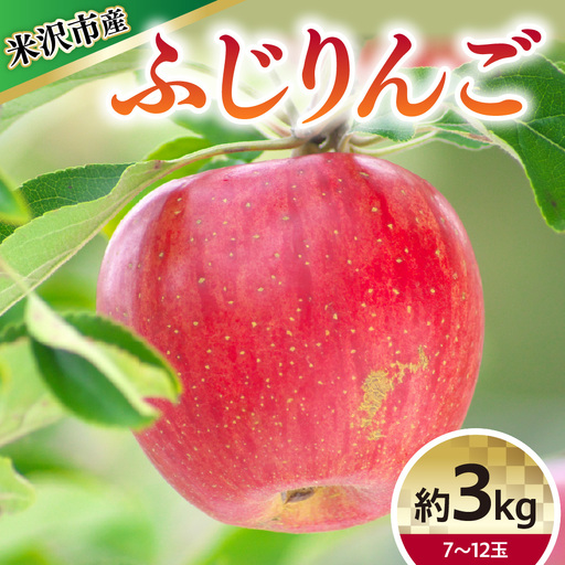 [令和8年産]ふじ (りんご) 約3kg 7〜12玉 2026年