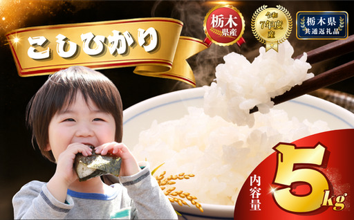 栃木県産 コシヒカリ 5kg[栃木県共通返礼品]AB | 栃木県 下野市