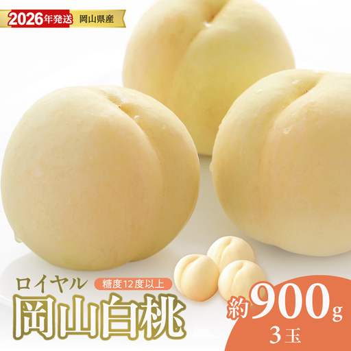 岡山県産　白桃　「ロイヤル」　特秀　中玉　約900g（3玉）（令和8年7月～8月上旬頃発送）【桃】hz-m