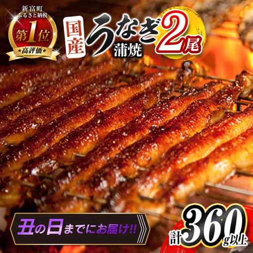 [丑の日]国産うなぎ蒲焼 2尾 計360g以上[B555-USHI]