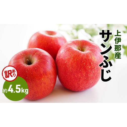 りんご 訳あり サンふじ 4.5kg りんご