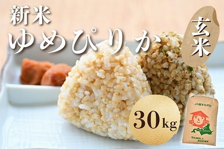 [新米予約]北海道奈井江町 ゆめぴりか 玄米 30kg