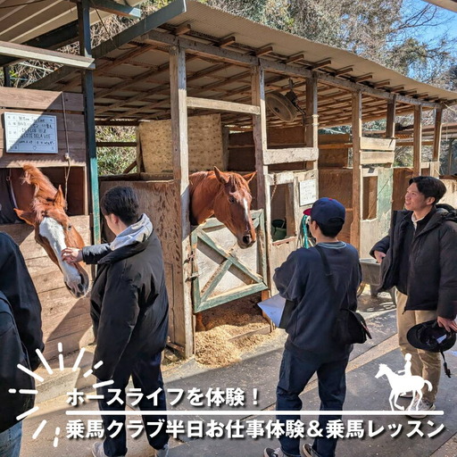ホースライフを体験！乗馬クラブ半日お仕事体験＆乗馬レッスン【 体験 レッスン 神奈川県 大磯町 】