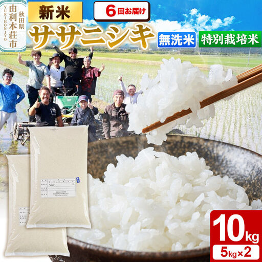 《令和8年産 新米》《定期便6ヶ月》【無洗米】特別栽培米 ササニシキ 10kg（5kg×2袋）秋田県産