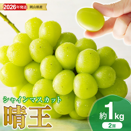 岡山県産 シャインマスカット 晴王 秀品 約1kg 2房【シャインマスカット】hz-s