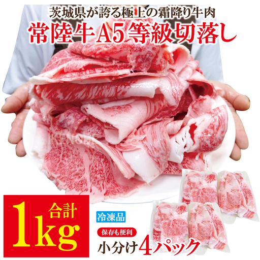 牛肉 切り落し 計1kg  [500g×2パック]  国産 霜降り すき焼き 常陸牛 A5等級 【切り落し】