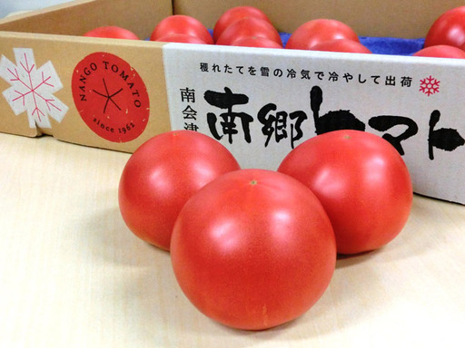 [南会津町特産品] 南郷トマト 1箱(約4kg:20個入) 野菜
