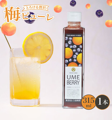 【梅ピューレ】UMEBERRY 1本 ベリー ジャム