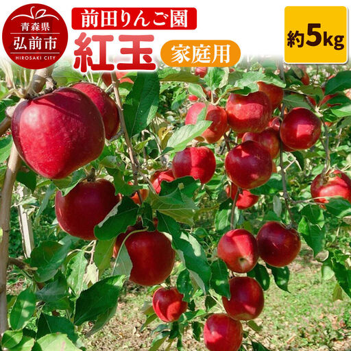 [26年10月発送]りんご[家庭用]紅玉 約5kg 前田りんご園