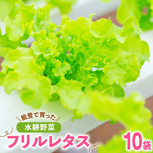 フリルレタス 10袋 セット