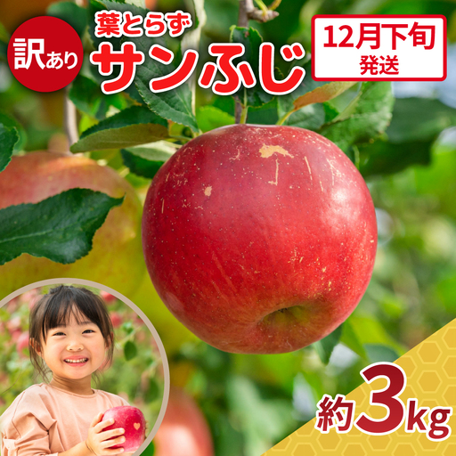 [2026年12月下旬発送][訳あり] りんご 約3kg サンふじ 青森県産 葉とらずりんご