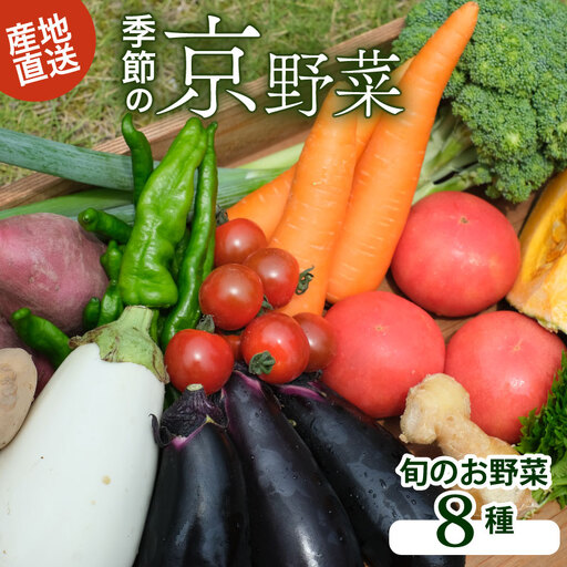 【産地直送】旬のお野菜詰め合わせセット 野菜
