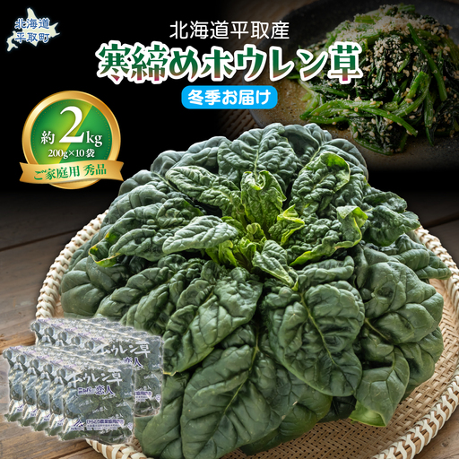 【先行予約/2026年12月上旬以降発送】【北海道平取町産】寒締めホウレン草（ちぢみほうれん草）200g×10袋 BRTO003