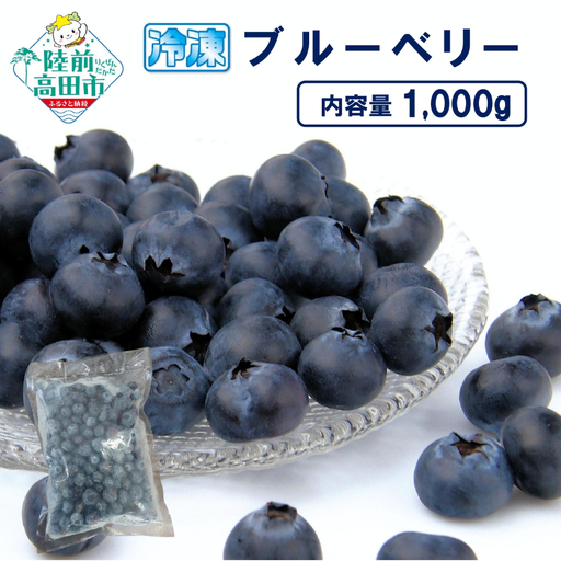 先行予約 冷凍ブルーベリー 500g×2袋 フルーツ ブルーベリー