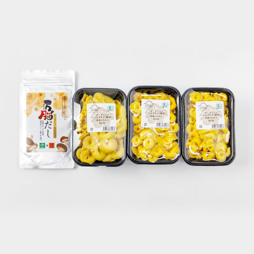 オーガニックたもぎたけ3Pと万脳だしセット【きのこ 3パック 出汁 1袋 調味料 だし 味噌汁 和食 洋風 料理 野菜 オーガニック 黄色い傘】