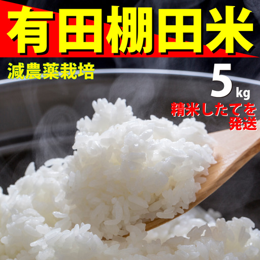 ＜予約受付＞ 令和8年 新米 『10月下旬より順次発送』『数量限定』令和8年産 有田 棚田米 5kg 米【みゆきファーム】精米済 白米 5kg 減農薬 organic 棚田米 有田町 限定 新米 | 20000円以内 2万円以内 | ft001
