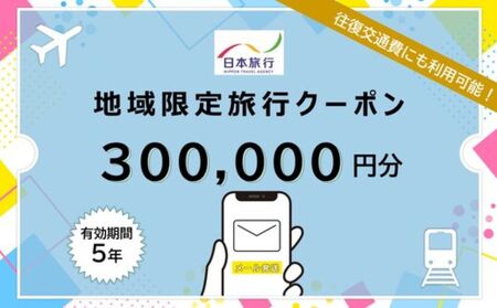 沖縄県恩納村 日本旅行 地域限定旅行クーポン30万円分(Eメール発行)