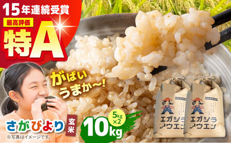 【11月発送】令和7年産 さがびより 玄米 10kg（5kg×2袋）【江頭農園】 [HAU003] 特A げんまい