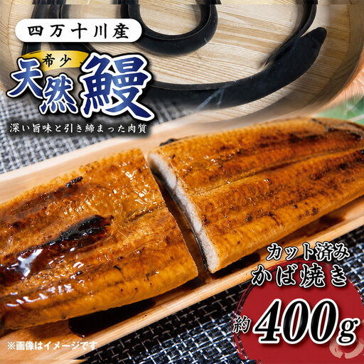 希少 四万十川産[天然うなぎ]蒲焼(カット)(計400g) 天然うなぎ 四万十川 鰻 ウナギ グルメ 高級 贅沢 ギフト 食べ物 食品 国産鰻 蒲焼 ウナギ 冷凍 国産 高知 四万十 四万十市 R7-98