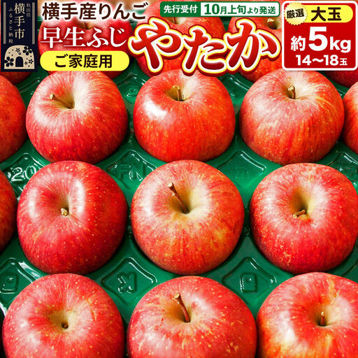 [先行受付]10月上旬より発送 横手市りんご 早生ふじ・やたか[大玉]ご家庭用 約5kg