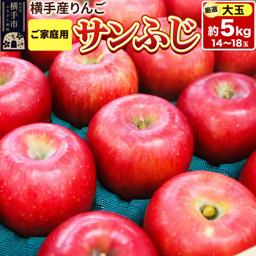 【先行受付 12月上旬より発送】横手市増田産りんご サンふじ【大玉】ご家庭用 約5kg