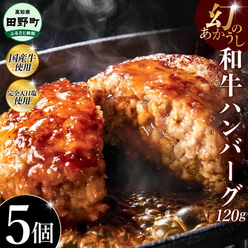 幻のあかうし和牛ハンバーグ 5個入り 1個120g 田野屋青蜂 白鯆 完全天日塩練り込み