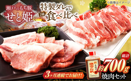 [全3回定期便]冷凍 「瀬戸のもち豚せと姫」焼肉セット計約700g (バラ400g・ロース300g・自家製焼肉のタレ) [BAER050]焼肉