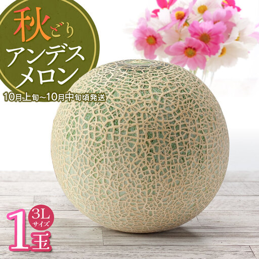 【令和8年産】 秋どりアンデスメロン 1玉（3Lサイズ） 山形県鶴岡市産 庄内砂丘メロン　小林ファーム　| メロン めろん 秋採り 秋収穫 秋メロン フルーツ 果物 くだもの デザート 産地直送 山形 鶴岡 庄内 庄内産 東北 人気 おすすめ 美味しい 贈答 国産 お取り寄せ 返礼品