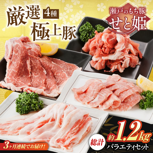 [全3回定期便]バラエティセット約1,200g (肩ロース・バラ・小間切れ・豚トロ 各300g) [BAER079]豚肉