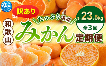 みかん定期便 計23.5kg 訳あり 柑橘[tkb113]