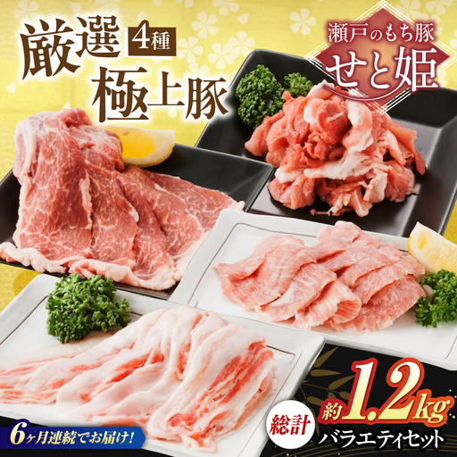 【全6回定期便】バラエティセット約1，200g (肩ロース・バラ・小間切れ・豚トロ 各300g)  [BAER080]豚肉