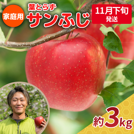 【2026年11月下旬発送】【家庭用】 りんご 約3kg サンふじ 青森県産 葉とらずりんご