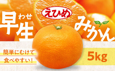 みかん[11月中旬から順次発送]温州みかん(早生)5kg みかん[AGAW016]