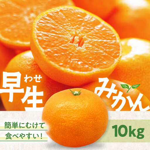 みかん【11月中旬から順次発送】温州みかん（早生）10kg みかん[AGAW017]