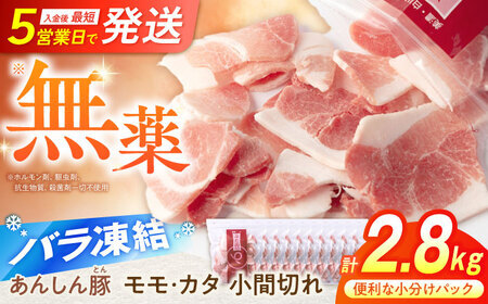 豚肉 こま切れ 計2.8kg[バラ凍結]藤井ファーム[AWAF029]豚こま肉